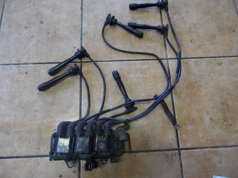 Hyundai Santa Fe I SM Bj 2004 Zndspule mit Zndkabeln 27301-37123