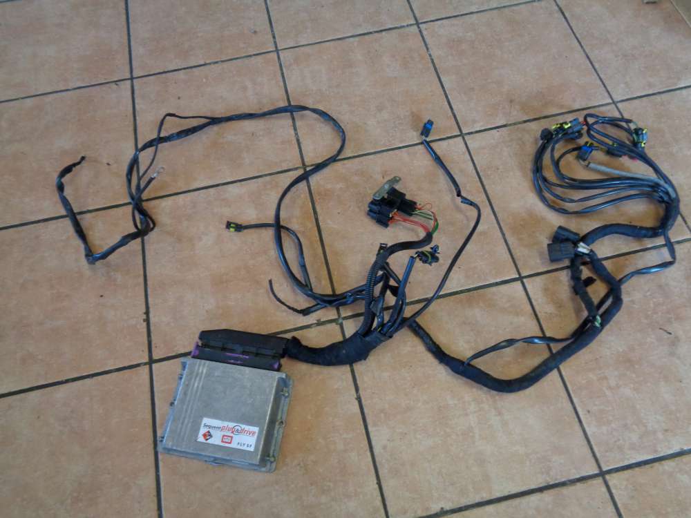 BRC Steuergert LPG Modul Gasanlage mit Kabel FLY SF 67R011002 110R-001001 031001