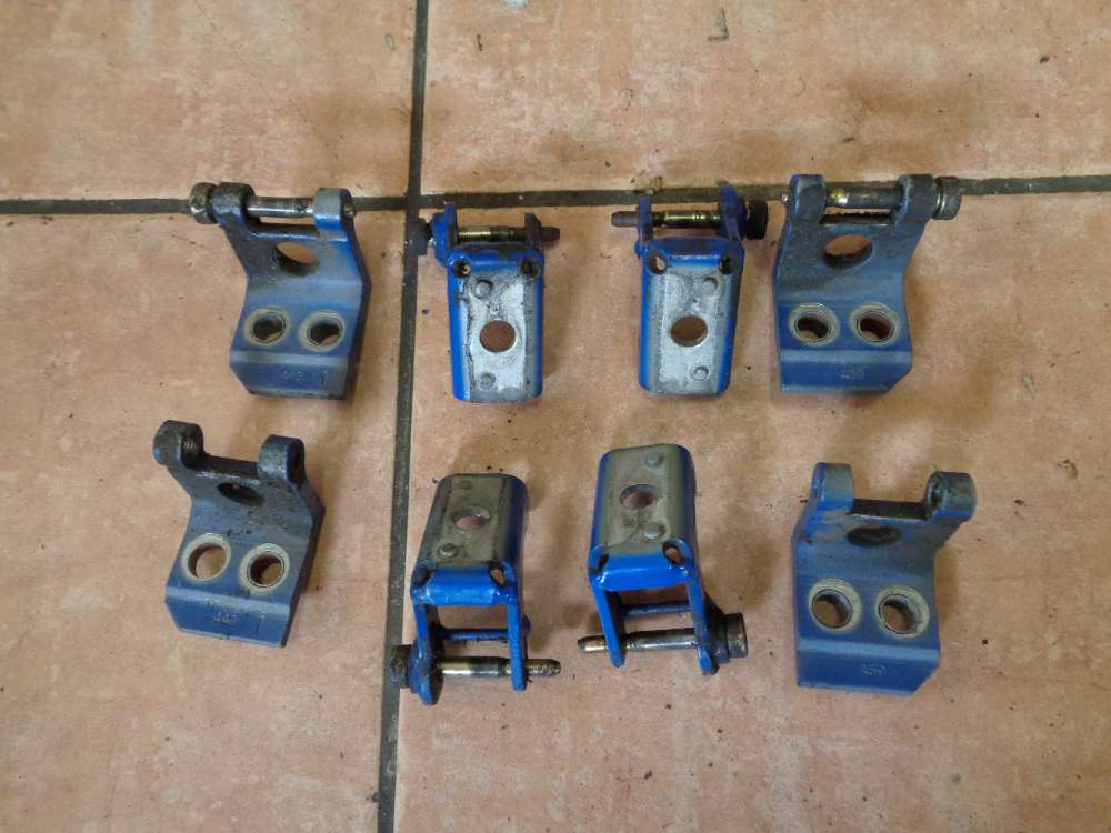 Peugeot 206 Bj:2000 Trschaniere Schanier Hinten und Vorn Links / Rechts Blau EGJ