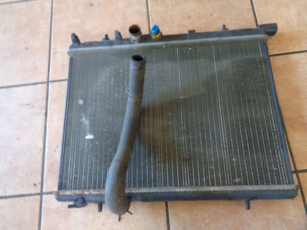  Peugeot 206 Wasserkhler 9625186580 