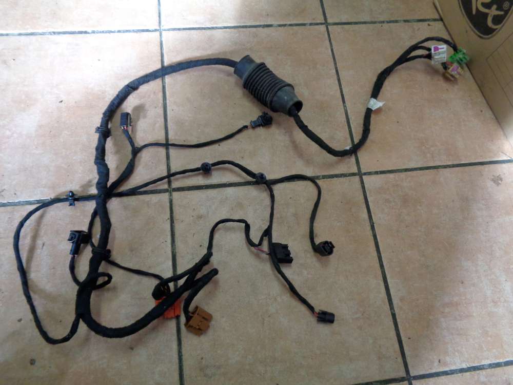 Seat Ibiza 6K Trkabelbaum Kabelbaum Vorne Links 