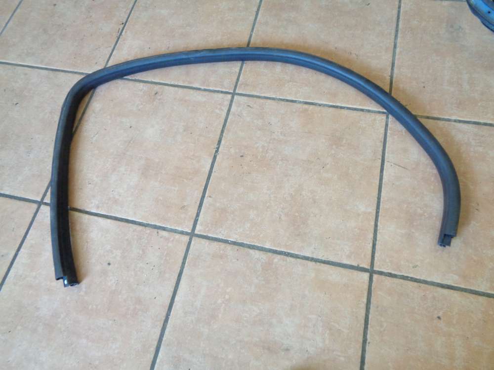 Opel Zafira A Dichtung Fensterführung Tür Hinten Links