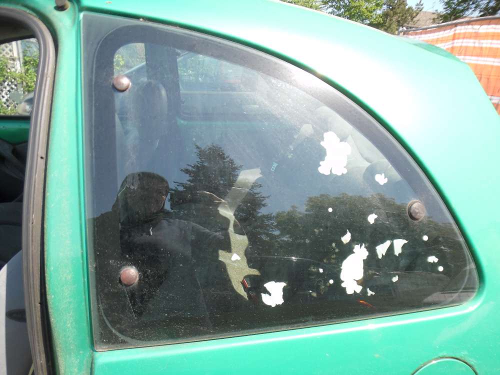 Ford Ka Bj:2000 3Türer Dreieckscheibe Hinten Links