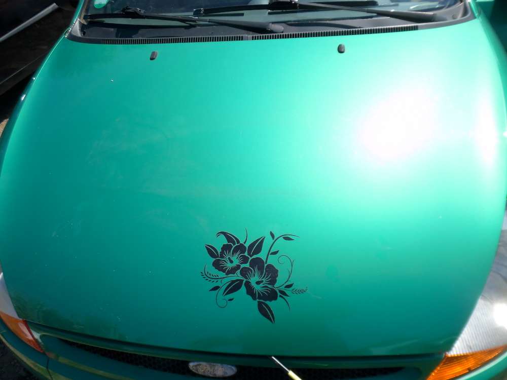 Ford Ka Bj:2000 3Türer Motorhaube Grün Farbcode:RBT