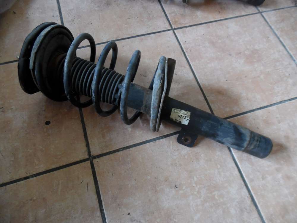 Peugeot 206 Federbein Stodmpfer Vorne Rechts
