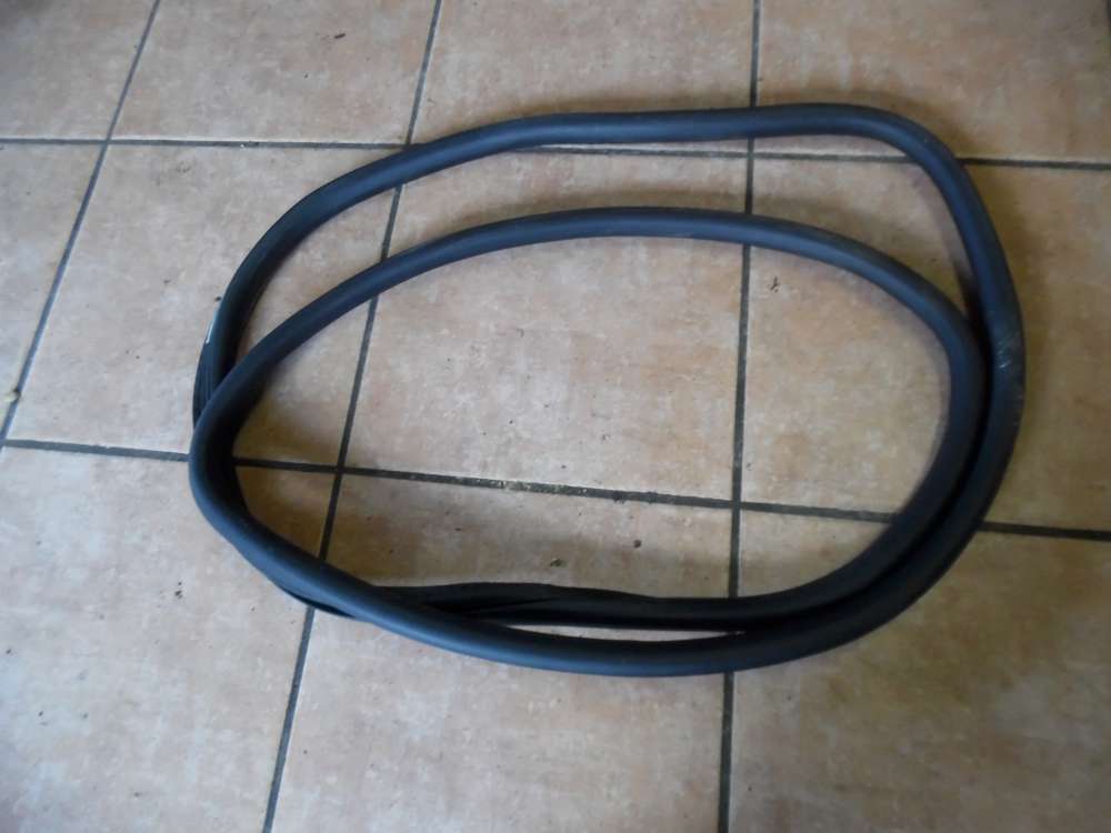  VW Golf 6 VI Trdichtung Dichtung Hinten Links 5K4867913