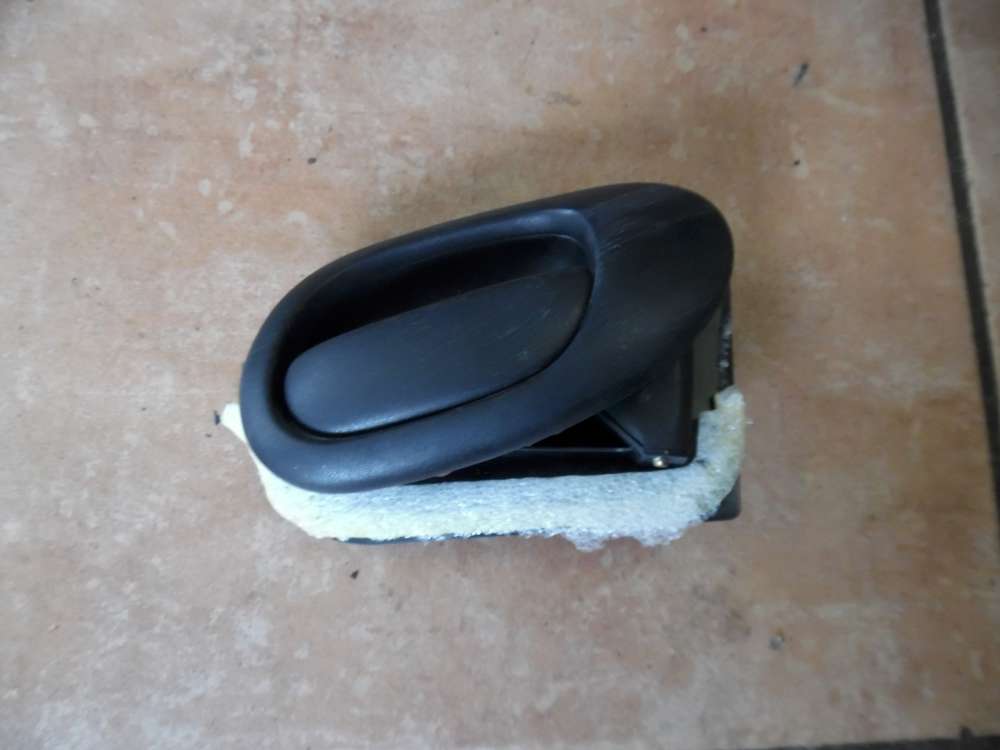 Peugeot 206 Trgriff Innen Vorne Rechts 9623698077