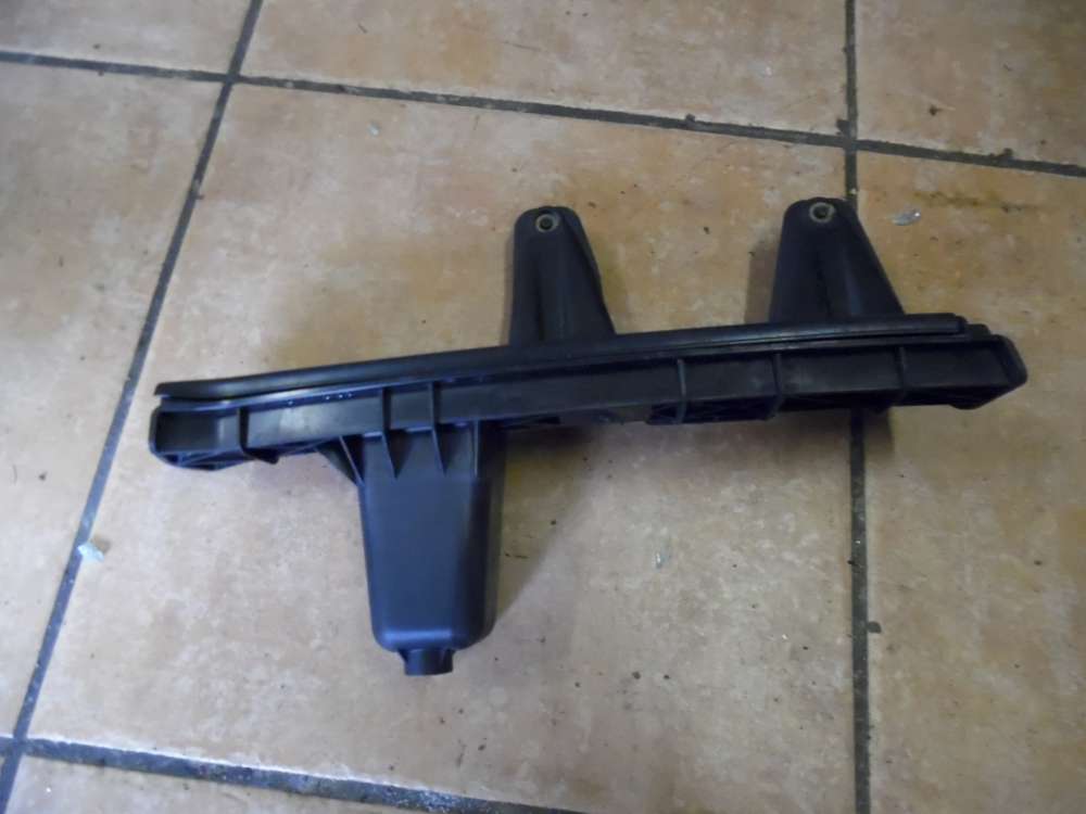 Renault Twingo II Türführungsschiene Vorne Rechts 8200391232