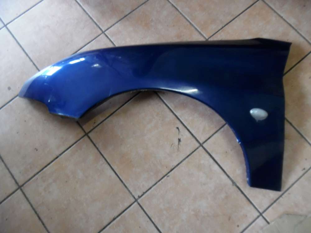 Peugeot 206 3-Türer Kotflügel Links blau Farbcod: EGE