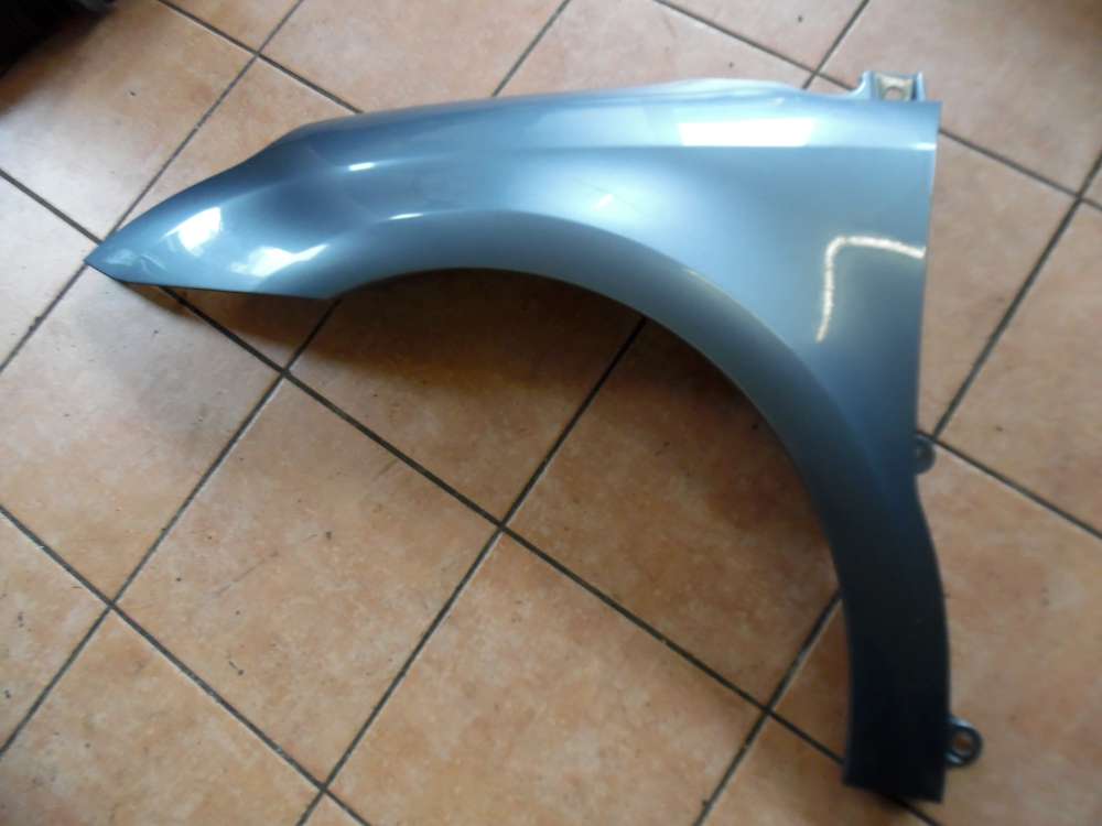 Citroen C4 Kotflgel Links Eisengrau-Metallic : EZW