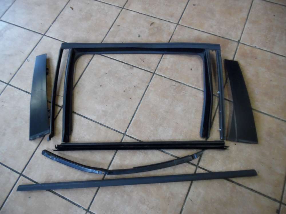 VW Passat 3C Trdichtung Fhrungsschiene Trrahmen Hi Li 3C9839431C 3C0839901  3C9839065A 