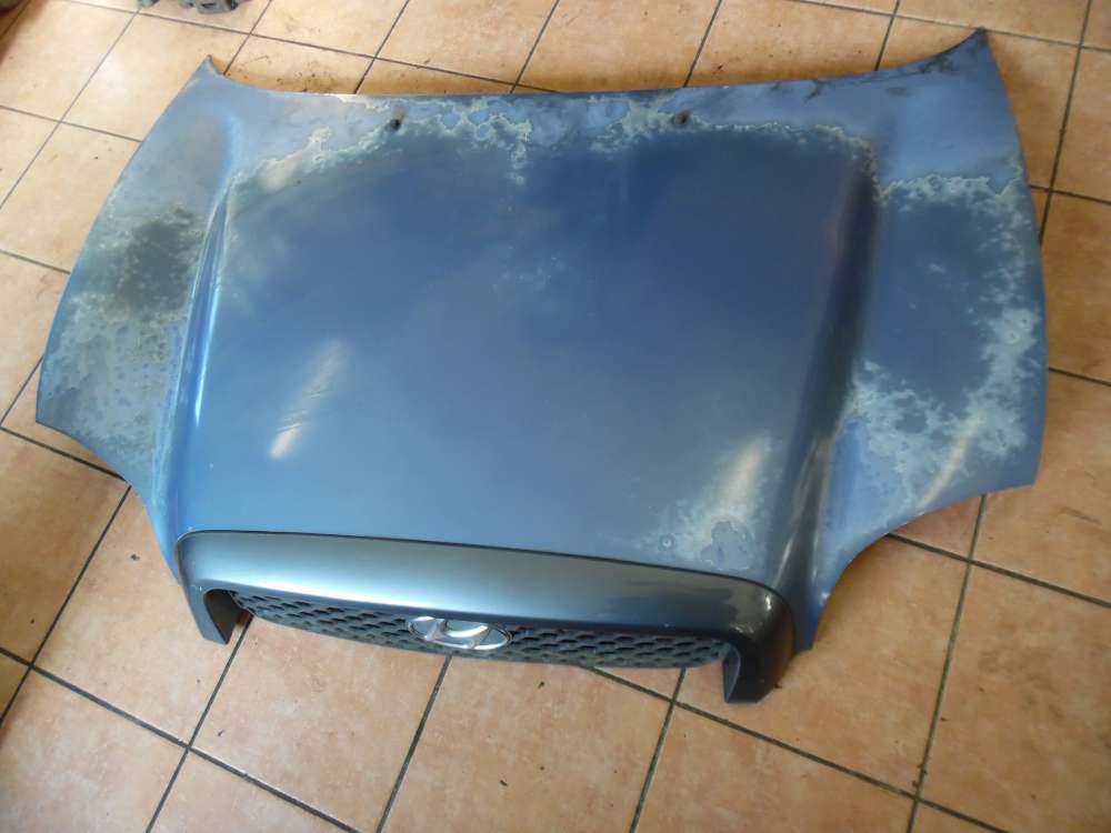 Hyundai Santa Fe SM Bj:2001 Motorhaube Blau met Farbcode : QX