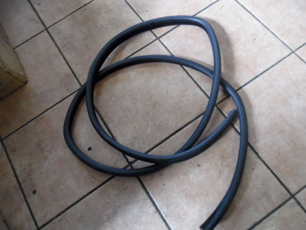 BMW E46 320d Trdichtung Dichtung Hinten Links