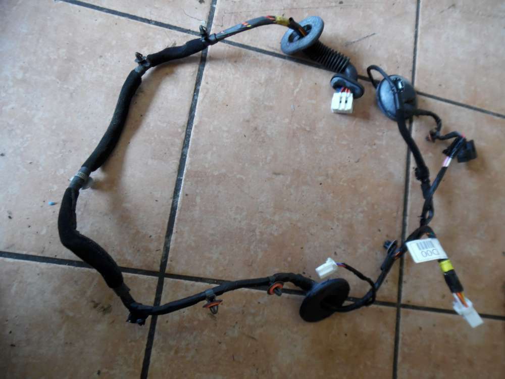 KIA Carens III Trkabelbaum Kabelbaum Hinten Links 91650-1d000