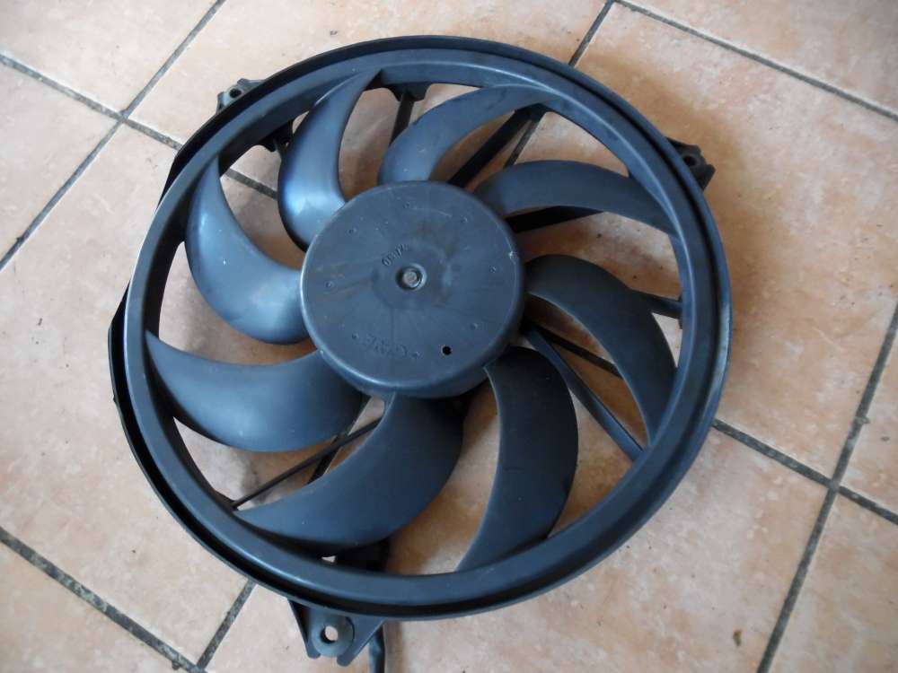 Peugeot 206 Cabrio Elektromotor Khlerlfter 9643386780