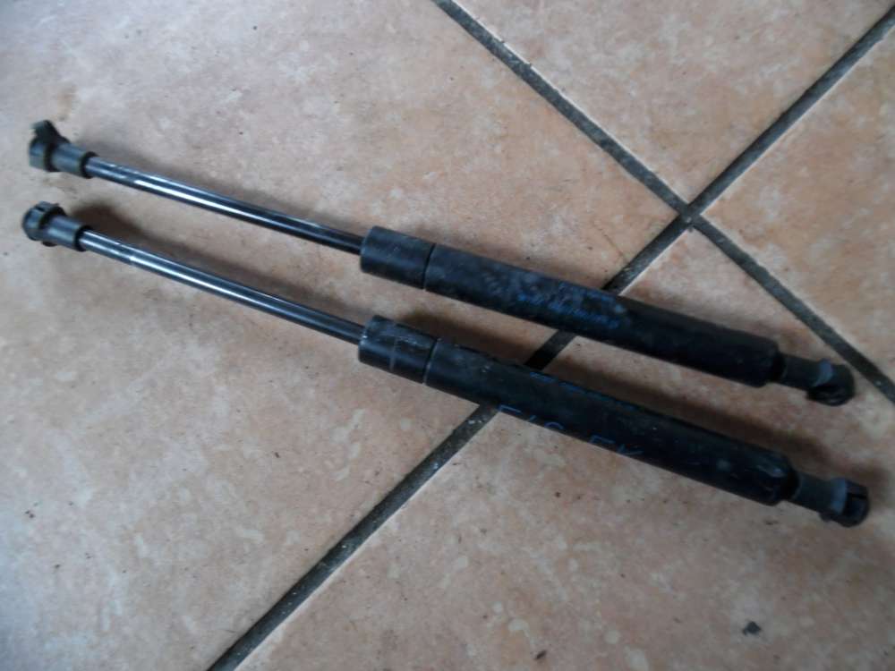 BMW E46 316ti Compact Motorhaubedmpfer Dmpfer 8202688