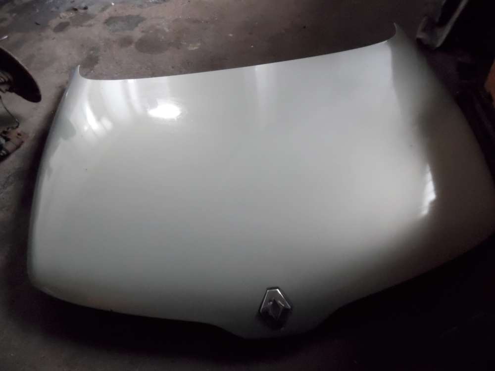 Renault Laguna I Motorhaube grn : MV931