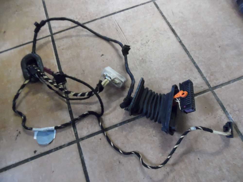 VW Golf VI 5K T�rkabelbaum Hinten Rechts 5K4971694