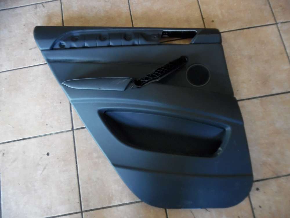 BMW X6 E71, E72 Trverkleidung Trpappe Hinten Links
