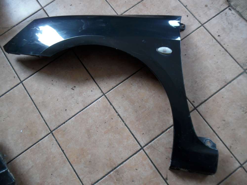 Peugeot 307 Kotflge Links Schwarz : EXLD