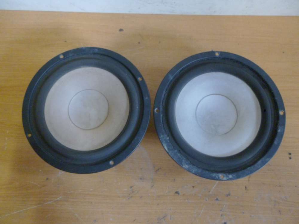 Welltech Auto Lautsprecher 20363