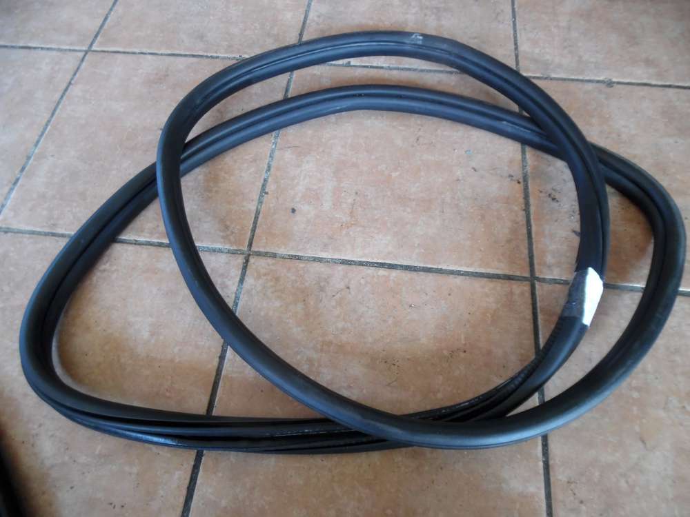 BMW 3-er F30 Trdichtung Dichtung Hinten Rechts 7258312 