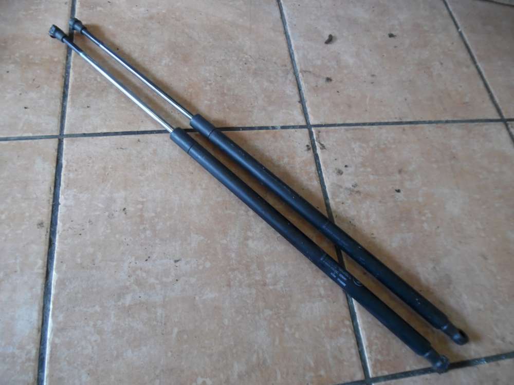 Bmw E46 316i Heckklappendmpfer 7118885