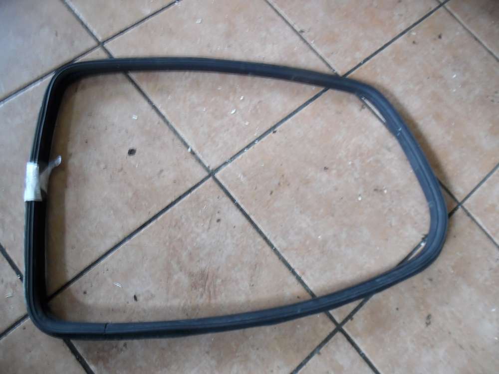 Fiat Punto 188 3-Trer Dichtung Scheibengummis Hinten Links