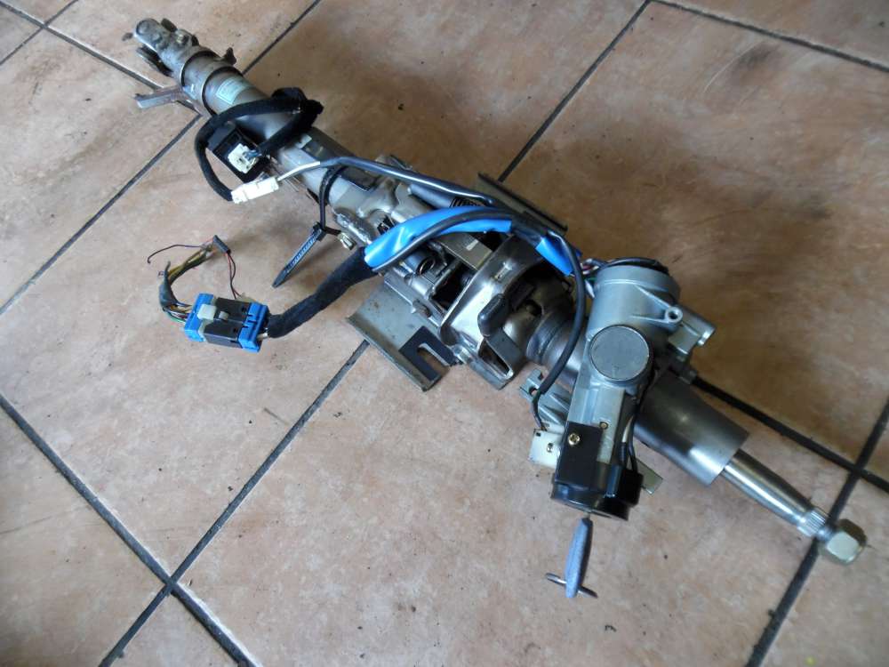 Kia Carnival I Lenks�ule mit Schl�ssel