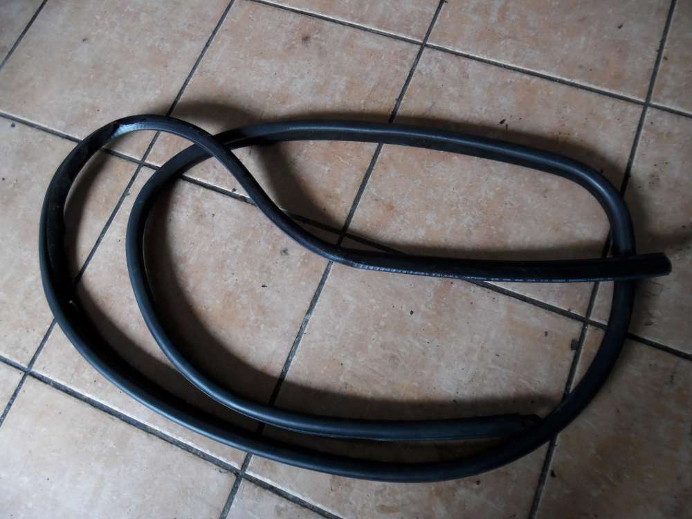 BMW 3er E46 Trdichtung Dichtung Vorne Rechts 8194681