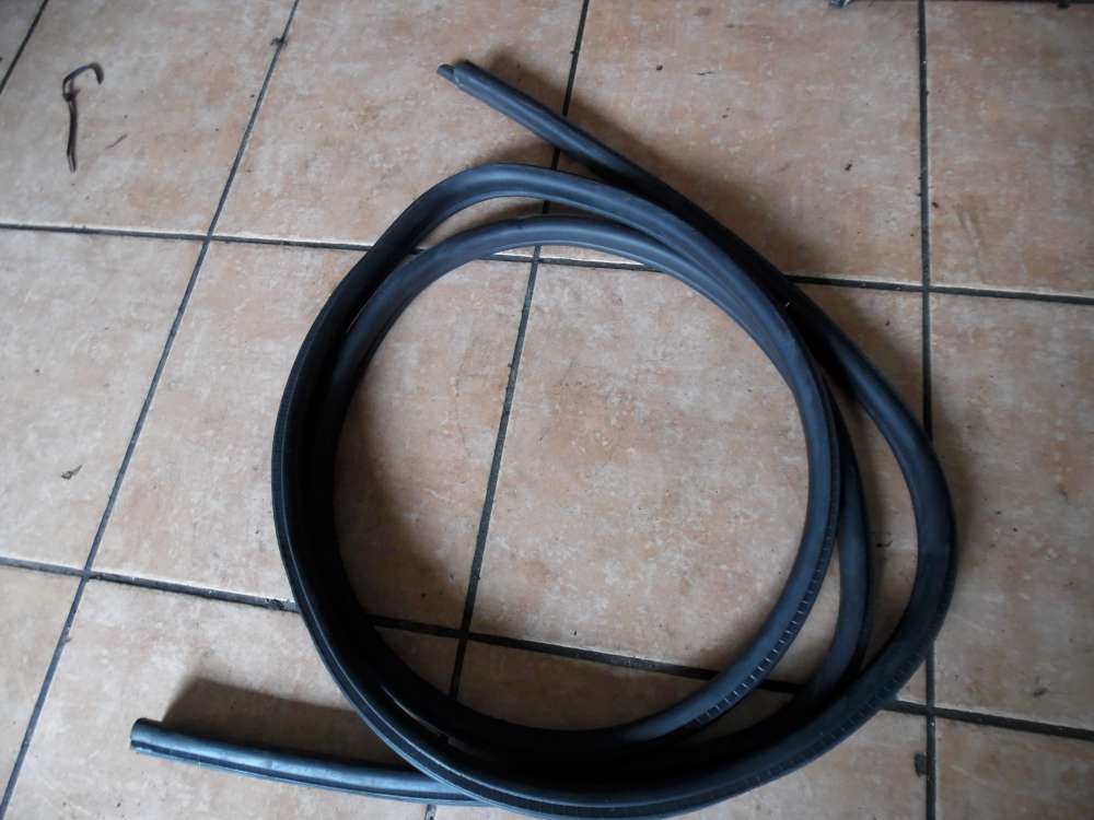 BMW E46 316ti Trdichtung Vorne Links