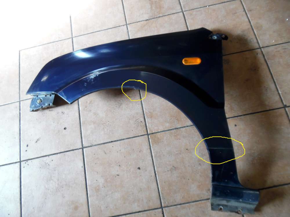 Ford Fusion JU2 Kotflgel Links Blau : W3