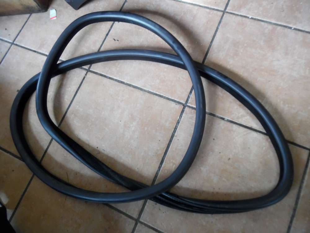 BMW 5er F10 Trdichtung Dichtung Hinten Rechts