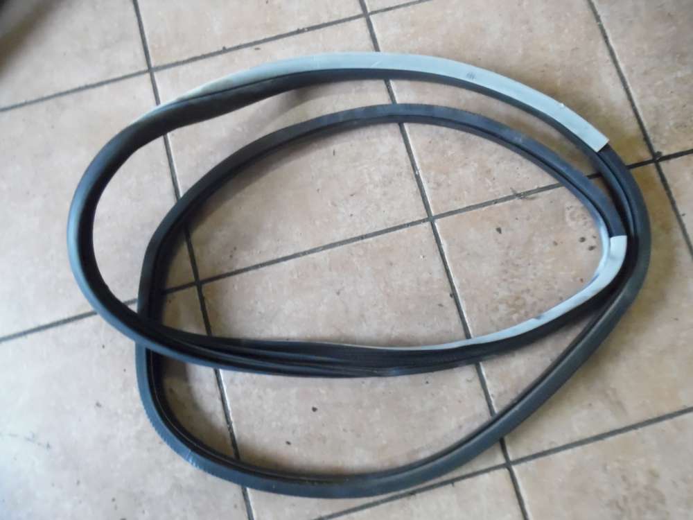 Renault Laguna III Kombi Trdichtung Vorne Links
