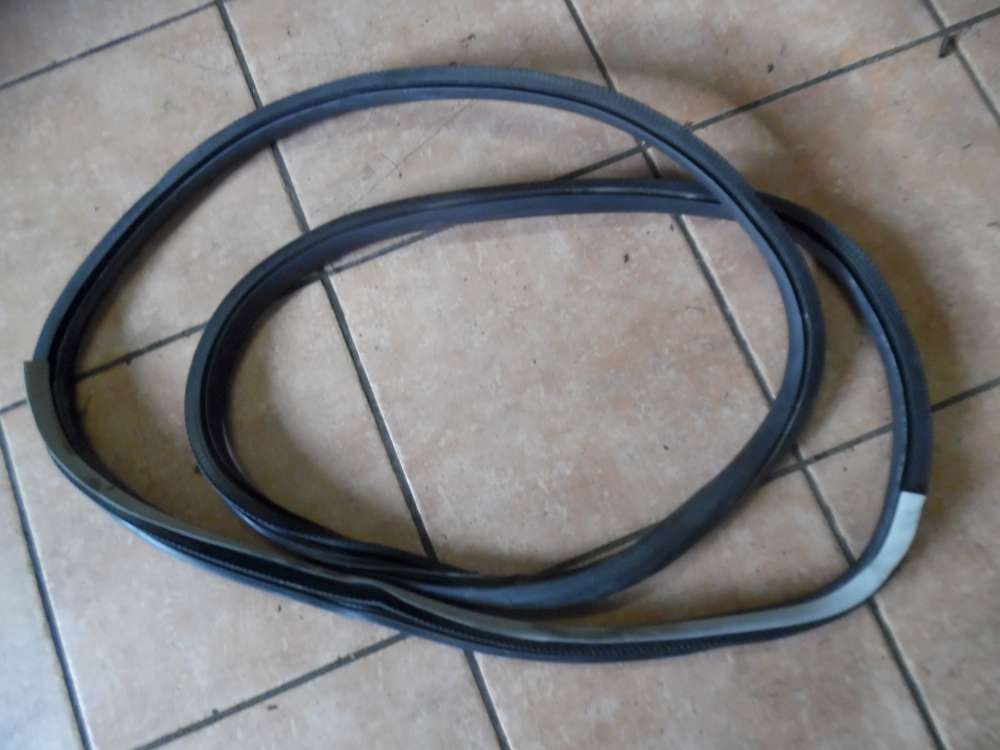 Renault Laguna III Kombi Trdichtung Hinten Links