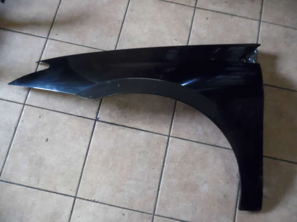 Renault Laguna III Kotflgel Links Schwarz