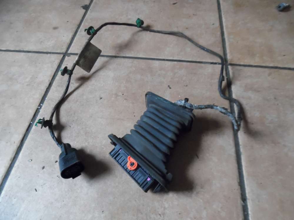 VW Golf V 1K Trkabelbaum Hinten Rechts 1K4971694 