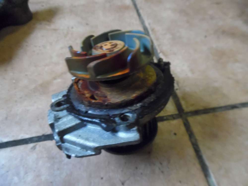 Fiat Grande Punto 199 1,2L Wasserpumpe