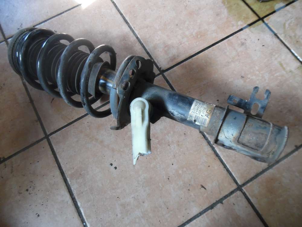 Opel Zafira B Stodmpfer Vorne Links 22214012 