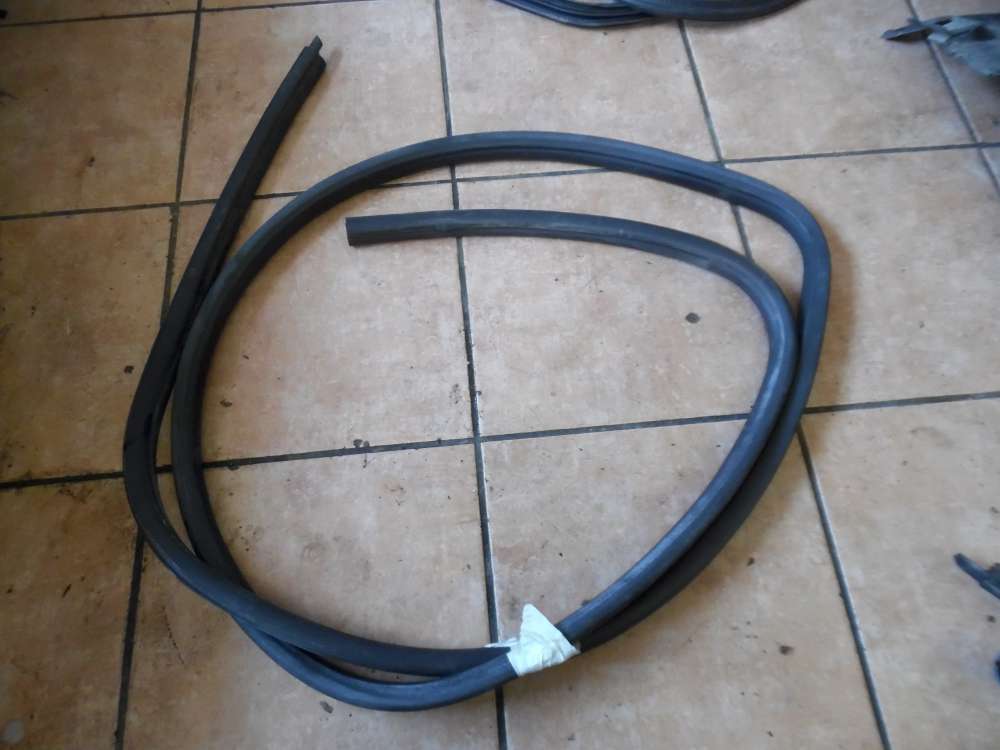 BMW 3er E46 Trdichtung Dichtung Vorne Links