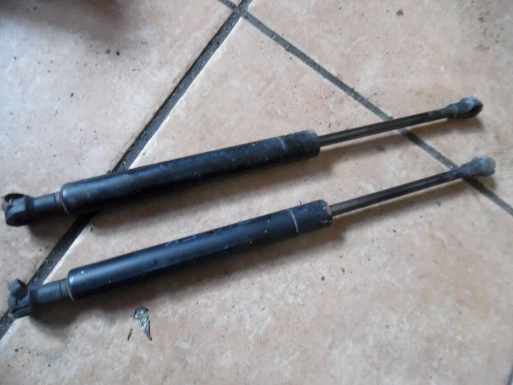 BMW 3er E46 Motorhaubedmpfer 8202688