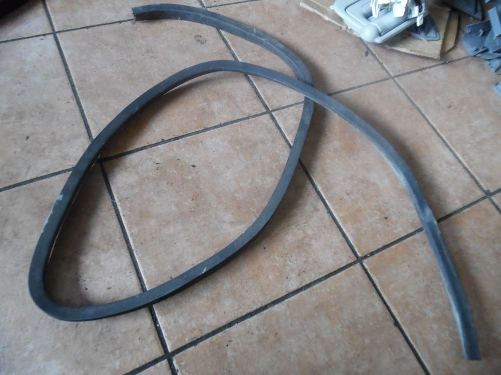 Toyota Yaris Verso Trdichtung Dichtung Hinten Links