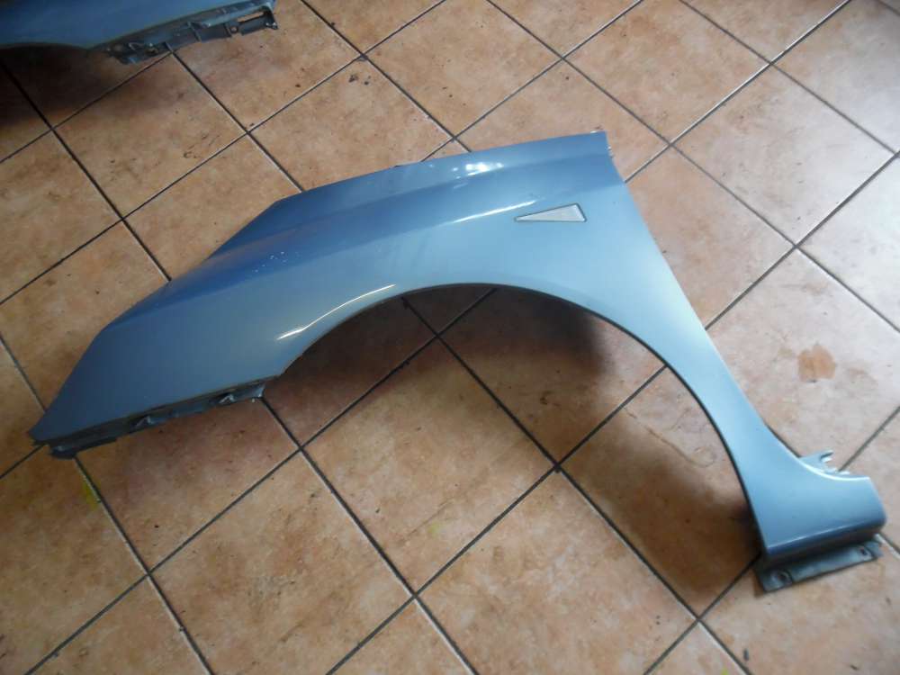 Renault Espace IV Kotflgel Links Hellblau : TED47