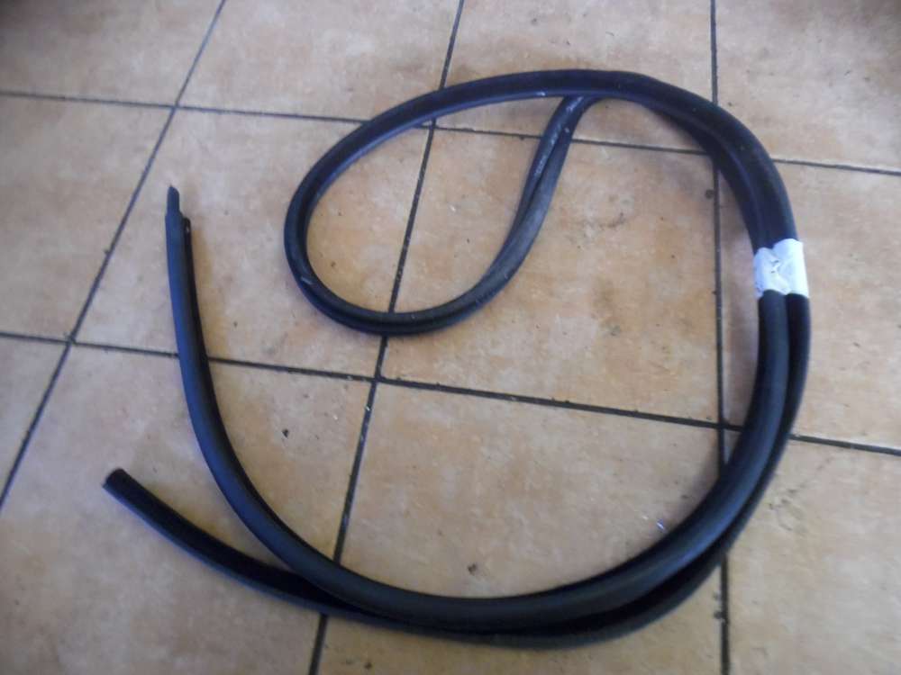 BMW 5er E61 Trdichtung Dichtung Vorne Links