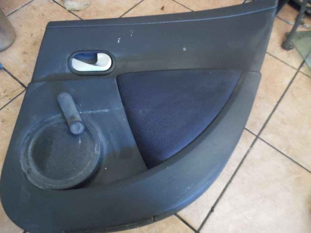 Renault Clio III Trverkleidung Hinten Rechts 8200293860
