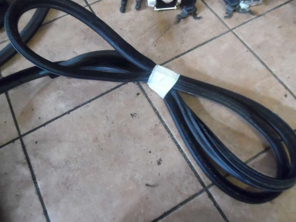 BMW 3er E91 Trdichtung Dichtung Hinten Links
