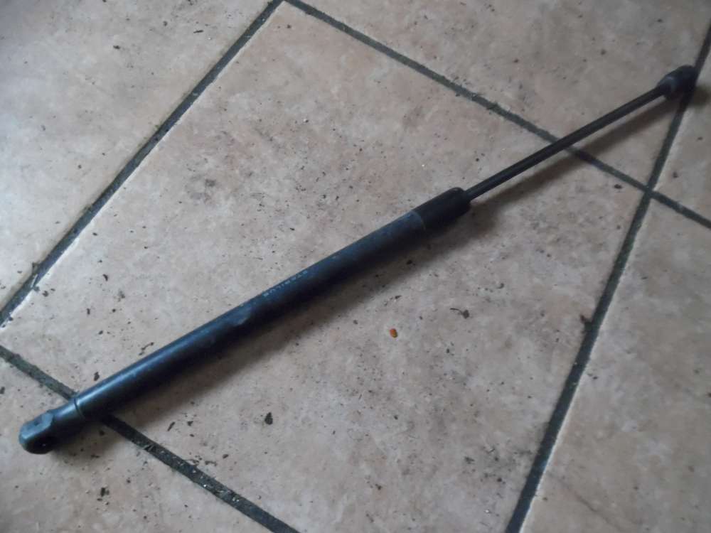 Mercedes-Benz A-Klasse W169 Heckklappend�mpfer 1697400045