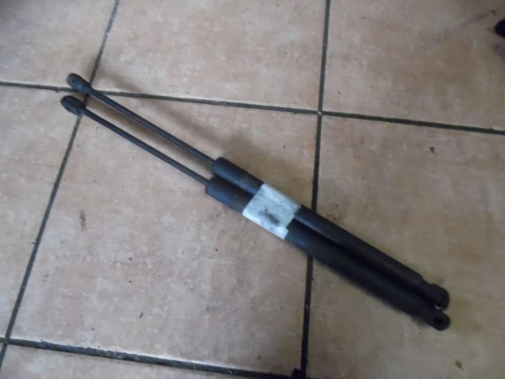 Opel Zafira B Heckklappendmpfer Gasdmpfer 