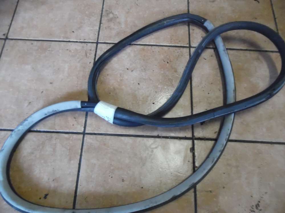 VW Passat 3B Trdichtung Dichtung Vorne Links