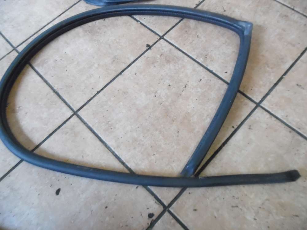 Mitsubishi Carisma T�rdichtung Gummidichtung Vorne Links 